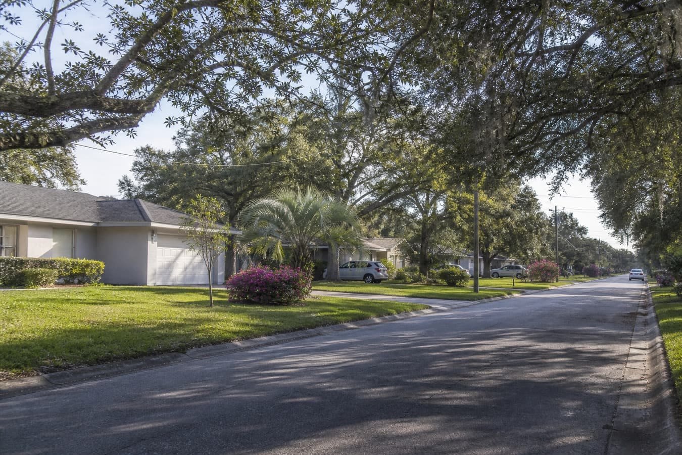 East Orlando suburban street with oaks and Florida ranch homes — wildlife removal service area for Azalea Park, FL