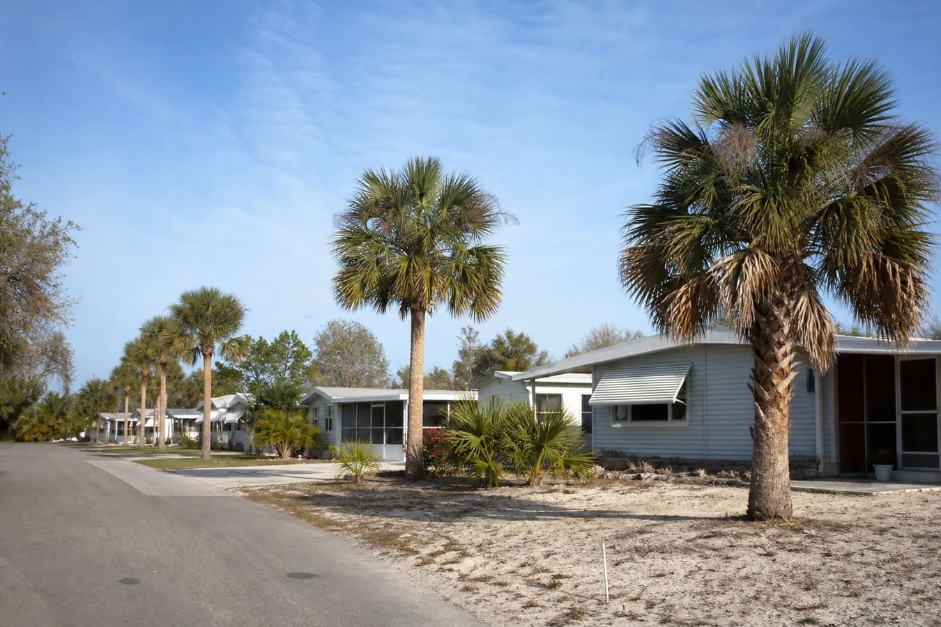 South Brevard palm-lined residential street near coastal scrub — wildlife removal service area for Barefoot Bay, FL