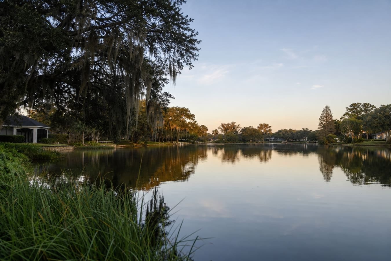 Quiet lakeside Orange County shoreline with cypress and oaks — wildlife removal service area for Belle Isle, FL