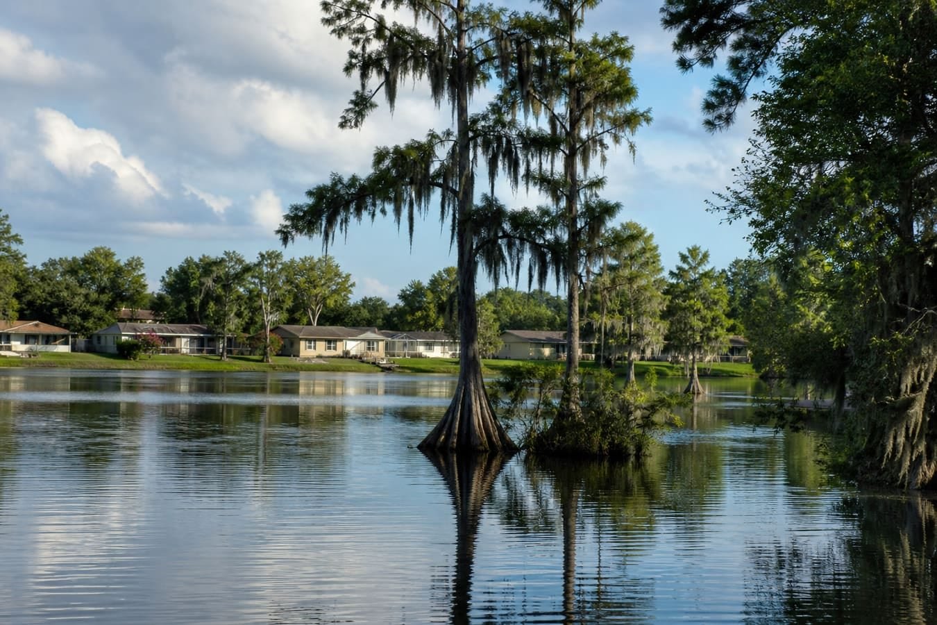 Lakeside Orlando metro neighborhood with cypress and oaks — wildlife removal service area for Fairview Shores, FL