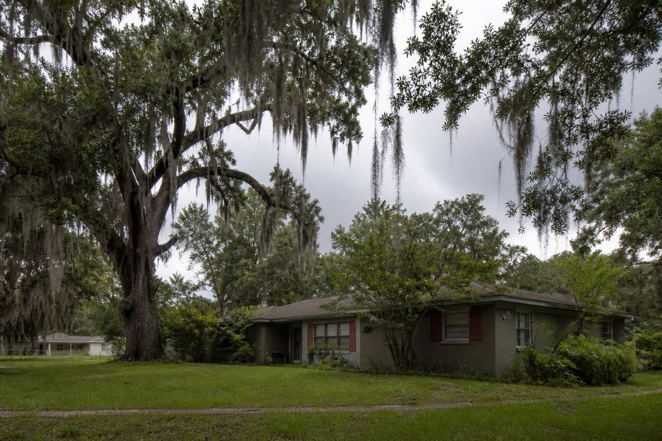 North Orlando metro residential street under large shade oaks — wildlife removal service area for Lockhart, FL