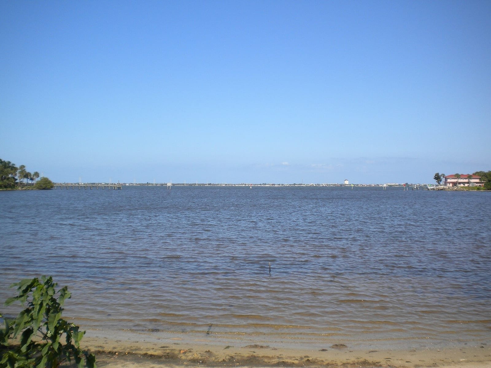 Waterfront shoreline in Palm Bay, Florida along the Indian River Lagoon system — wildlife removal service area for Palm Bay, FL