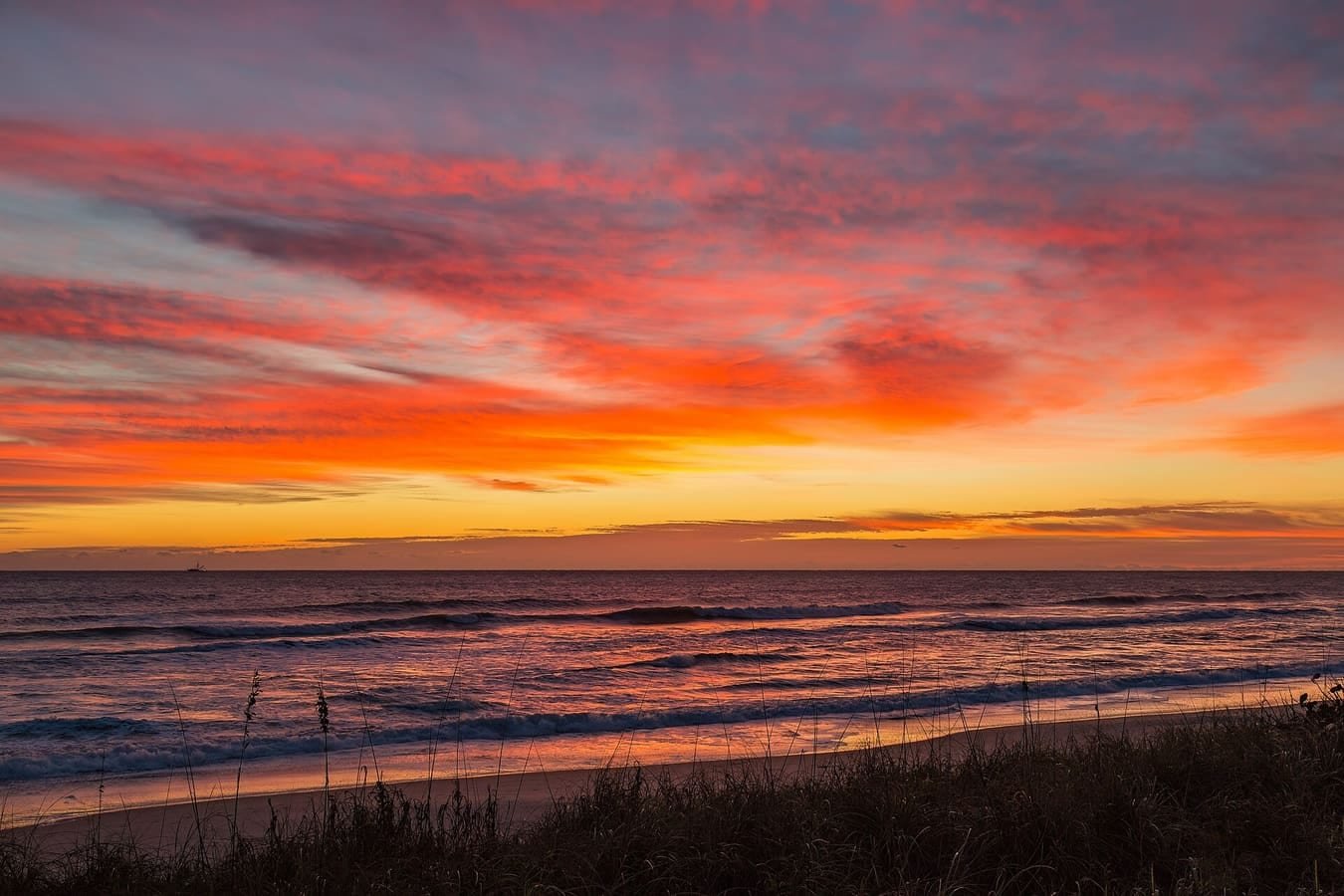 Coastal community view in Satellite Beach, Florida — wildlife removal service area for Satellite Beach, FL