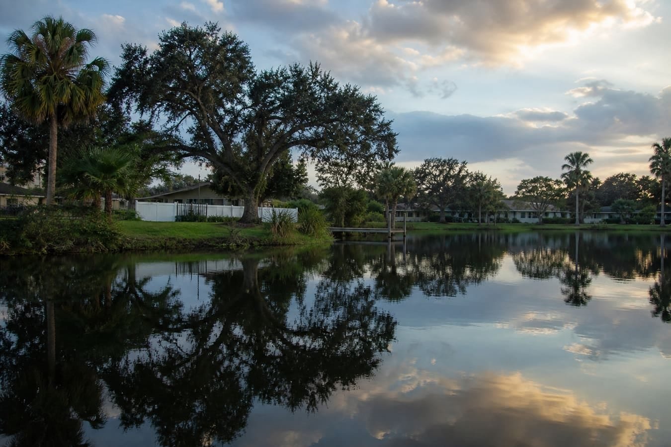 Small south Orlando neighborhood lake with oaks and palms — wildlife removal service area for Sky Lake, FL