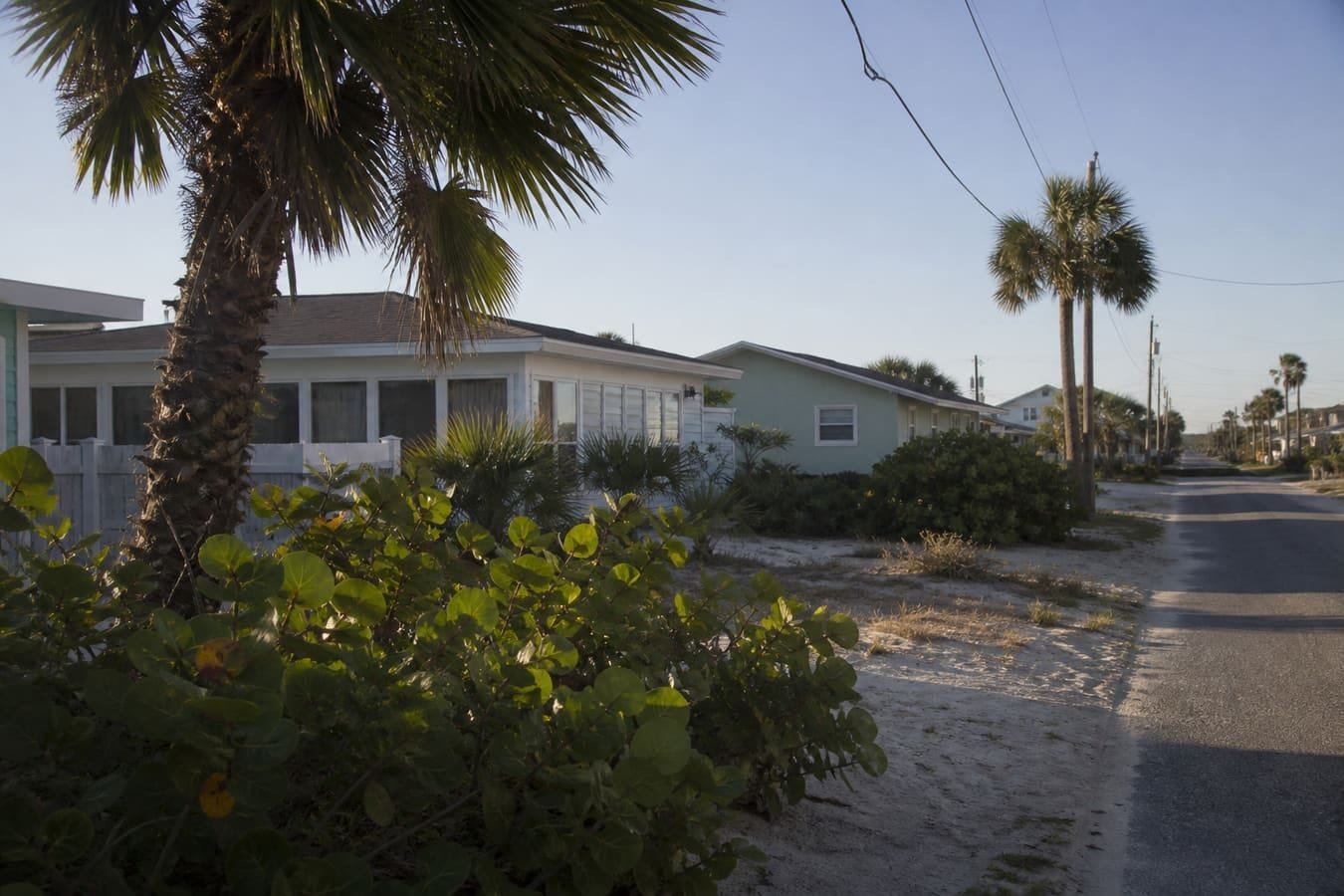 Space Coast barrier-island residential street with palms and sea grapes — wildlife removal service area for South Patrick Shores, FL