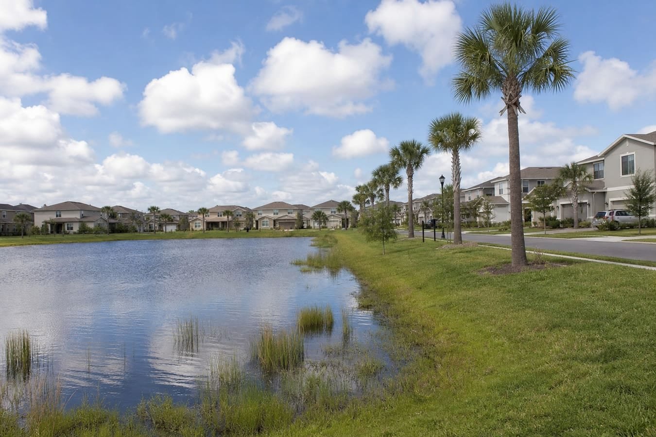 South Orlando planned neighborhood around a stormwater pond — wildlife removal service area for Southchase, FL