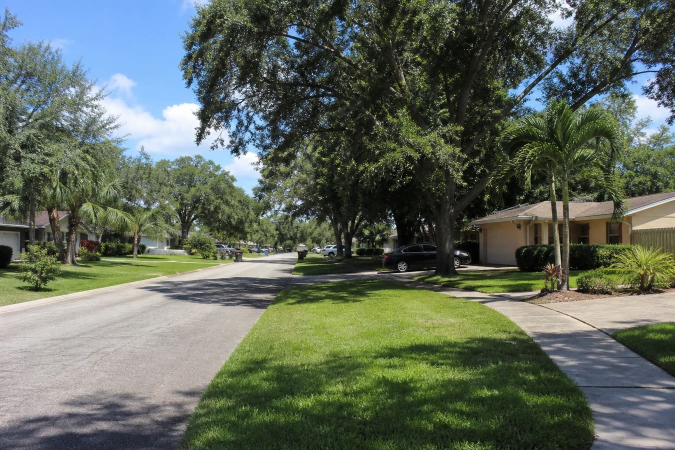 East Orlando suburban residential street with oaks and palms — wildlife removal service area for Union Park, FL