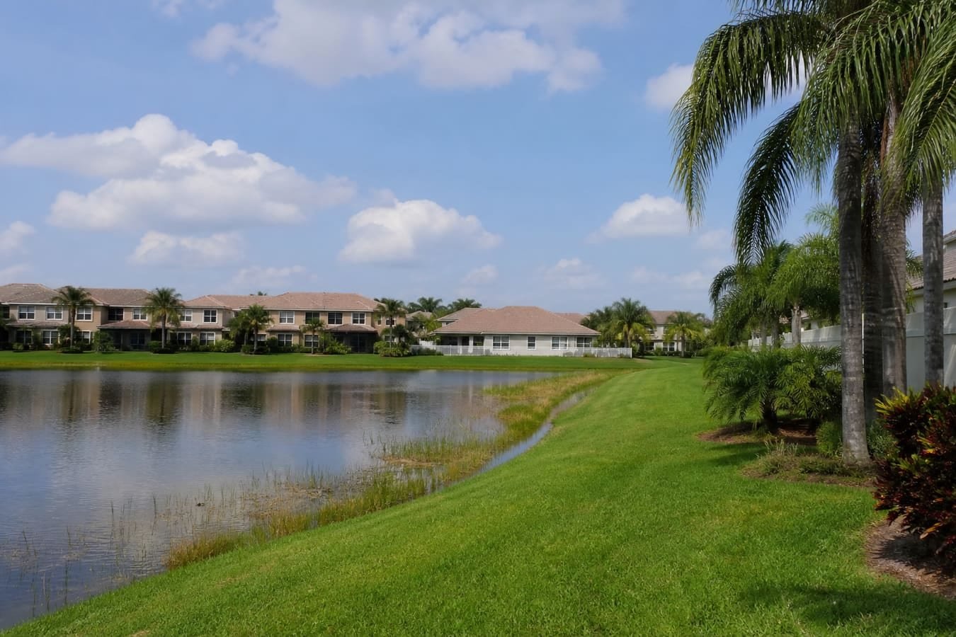 South Orange County planned homes around a retention lake — wildlife removal service area for Williamsburg, FL